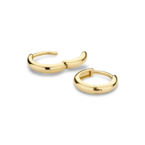 Blush Jewels Ohrringe 7267YGO - 585er Gelbgold